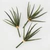 Faux Snake Grass Pick - Set Of 3 -decoration 209204912 1 88389.1690278983.386.513 2