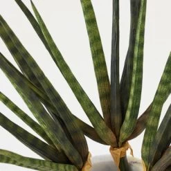 Faux Snake Grass Pick - Set Of 3 -decoration 209204912 2 81403.1690278983.386.513