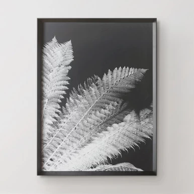 Tropical Palm Duo 5 Tropical Palm Duo - Image 3