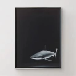 Silence In The Deep -decoration 725159654 37014.1690292287.386.513