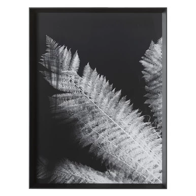 Tropical Palm Duet 4 Tropical Palm Duet - Image 2