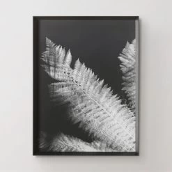 Tropical Palm Duet 7 Tropical Palm Duet -decoration 725183312 71425.1690292285.386.513