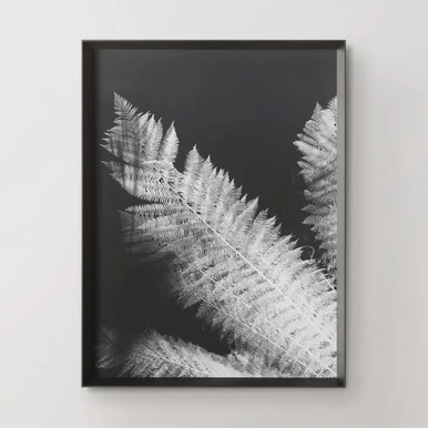 Tropical Palm Duet 5 Tropical Palm Duet - Image 3