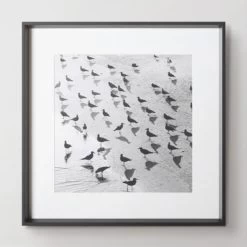 Escher's Seagulls -decoration 730157566 50446.1690292292.386.513