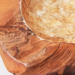 Organic Capiz Bowl -decoration webimage 160160778 DTL