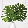 Split Leaf -decoration webimage 162948171