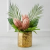 Protea In Pot - Blush 1 Protea In Pot - Blush -decoration webimage 168115695 jpg