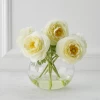 Ranunculus In Glass - White 1 Ranunculus In Glass - White -decoration webimage 168126063 jpg 1