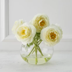 Ranunculus In Glass - White