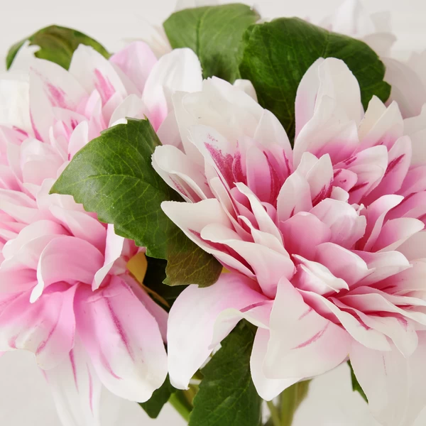 Dahlia In Glass - Blush 4 Dahlia In Glass - Blush - Image 2