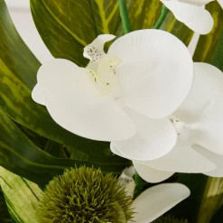 Phalaenopsis Leaf In Glass -decoration webimage 168192665 dtl2