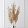 Pampas Grass - Set Of 3 -decoration webimage 200200552 jpg