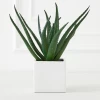 Faux Aloe Plant -decoration webimage 207032941