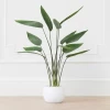 Faux Potted Water Canna -decoration webimage 207190249