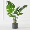 Faux Monstera In Pot -decoration webimage 207203517