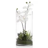 Faux Potted Orchid With Succulents -decoration webimage 207818656 jpg