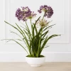Faux Potted Agapanthus -decoration webimage 207919623