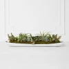 Succulent Assortment In Wood Tray -decoration webimage 207999710