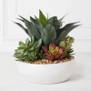 Succulent Assortment In Bowl -decoration webimage 207999711