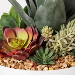 Succulent Assortment In Bowl -decoration webimage 207999711 dtl