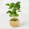 Eucalyptus In Geometric Planter -decoration webimage 207999714