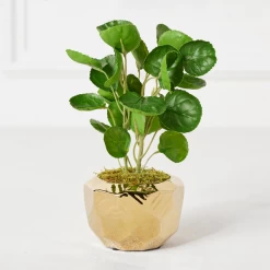 Eucalyptus In Geometric Planter 5 Eucalyptus In Geometric Planter -decoration webimage 207999714 alt1