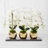 Orchid Trio With Granite Slab 2 Orchid Trio With Granite Slab -decoration webimage 207999715 1