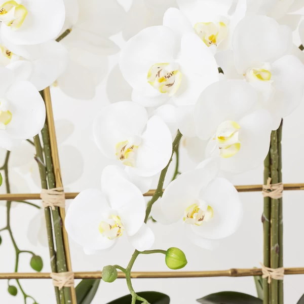 Orchid Trio With Granite Slab 5 Orchid Trio With Granite Slab - Image 3