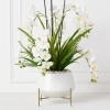 Orchids In Bowl With Stand 2 Orchids In Bowl With Stand -decoration webimage 207999716
