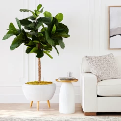 Fiddle Leaf Tree In Bowl -decoration webimage 207999719 alt6 DSI FIDDLE LEAF IN WHITE POT rv