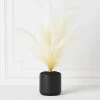 Plume In Kendall Pot 1 Plume In Kendall Pot -decoration webimage 207999722