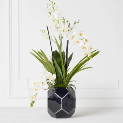 Orchids In Glass Bowl -decoration webimage 207999723