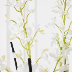 Orchids In Glass Bowl -decoration webimage 207999723 dtl2