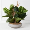 Fiddle Leaf Branches In Bowl -decoration webimage 207999724