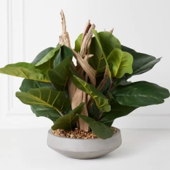 Fiddle Leaf Branches In Bowl 7 Fiddle Leaf Branches In Bowl -decoration webimage 207999724 alt