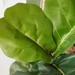 Fiddle Leaf Branches In Bowl 9 Fiddle Leaf Branches In Bowl -decoration webimage 207999724 dtl2