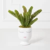 Selfie Succulents In Face Planter -decoration webimage 207999751