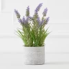 Lavender In Grey Pot -decoration webimage 207999958