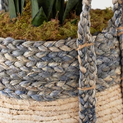 Mother In Law's Tongue In Basket 8 Mother In Law's Tongue In Basket -decoration webimage 207999974 dtl1