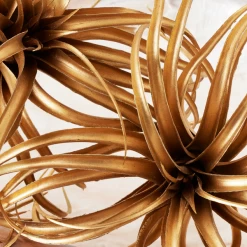 Faux Air Plant -decoration webimage 209168339 DTL