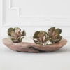 Faux Echeveria Succulent Pick -decoration webimage 209200688