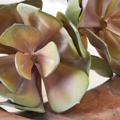 Faux Echeveria Succulent Pick -decoration webimage 209200688 dtl 1