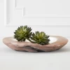 Faux Thorn Succulent Pick -decoration webimage 209207824 1