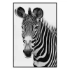 Exotic Animals 1 -decoration webimage 630179050 jpg 1