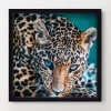 Jungle Cat Stare 1 Jungle Cat Stare -decoration webimage 630195376 630112803