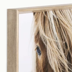 Blondie -decoration webimage 630319682 alt2