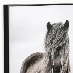 Full Fringe -decoration webimage 630334937 alt2