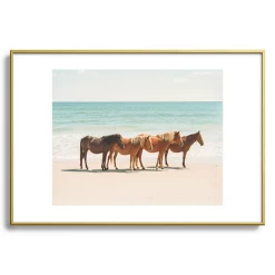 Summer Beach Horses -decoration webimage 630336232 SIL