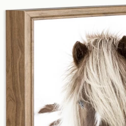 Secrets -decoration webimage 630341439 alt2 1