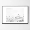 Seagulls Coast -decoration webimage 630342225 1
